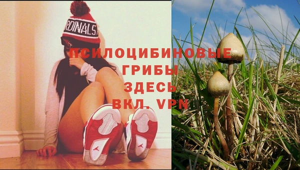 СК Горняк
