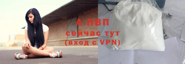 СК Горняк