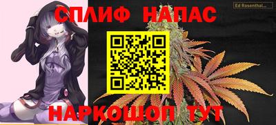 трава Кингисепп