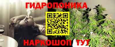 трава Кингисепп