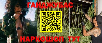 трава Кингисепп