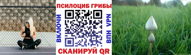 Псилоцибиновые грибы прущие грибы мега как войти Нурлат