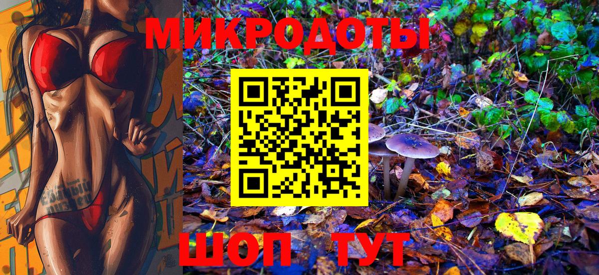 Нурлат  что такое наркотик  Вход с VPN  Псилоцибиновые грибы Psilocybe 