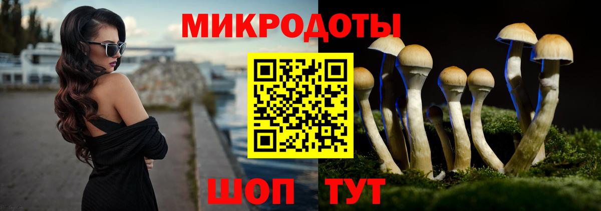 Галлюциногенные грибы мухоморы  Нурлат  Псилоцибиновые грибы Magic Shrooms 
